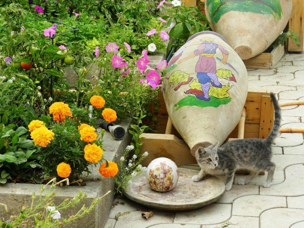 Hyelandz Eco Village Resort Geghadir Extérieur photo